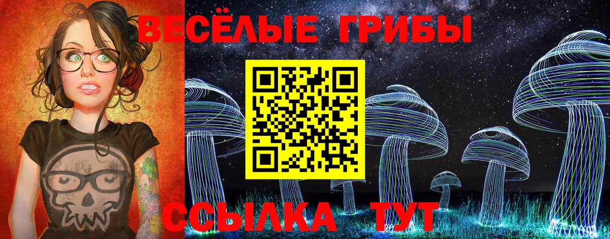 Чебаркуль  сколько стоит  Вход с VPN  Псилоцибиновые грибы Cubensis 