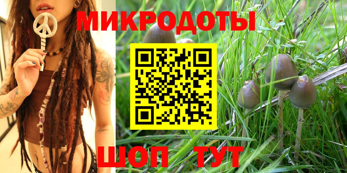 Галлюциногенные грибы мухоморы Чебаркуль